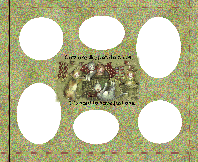 Cat potato chip collage, cat potato chip mangetic photo frame, cat potato chip magnetic photo collage. magnets, refrigerator frame, magnetic fridge frame, fridge frame, magnets, frame magnets, magnetic refrigerator frames