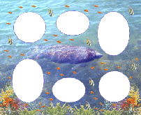 Manatee Collage Magnetic Photo Frame