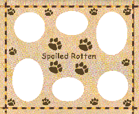 Spoiled Rotten Dog Collage, spoiled rotted magnetic dog collage, magnetic photo frame, magnetic refrigerator frames, refrigerator frames, frames for the refrigerator, refrigerator frames, magnetic dog frames, magnetic dog refrigerator frames