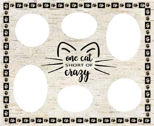 one cat short of crazy collage, magnetic collage,magnetic collage, magnetic frame, fridge frame, magnetic fridge frames, fridge frames, frames for the fridge, fridge, frames, collages, magnets, magnet collage, magentic frame