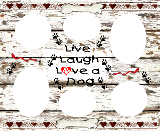 live, laugh. love a dog collage, fridge frame, magnetic frames, magnetic fridge frames, magnet frames, fridge frames, refrigerator frame